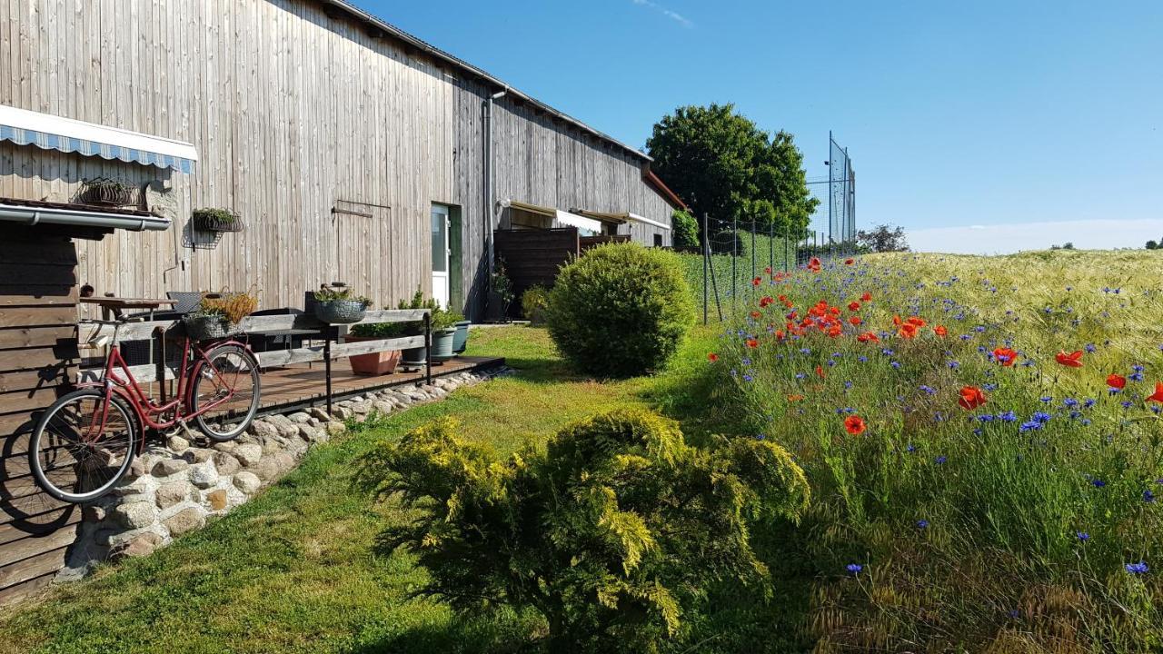 Pension Zum Wiesengrund Frauenhagen Exterior foto